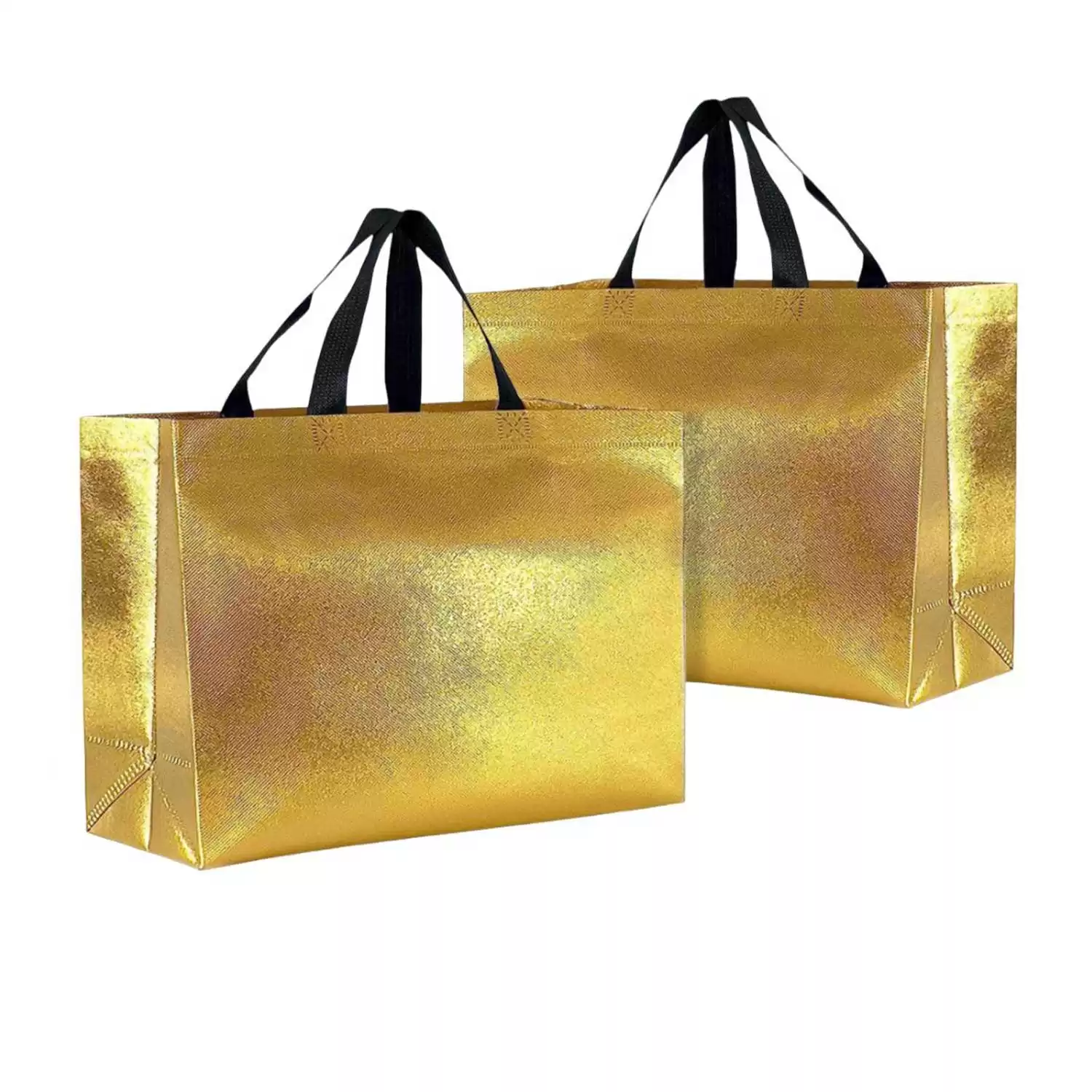 Metallic Surface Laminated Carry Bags